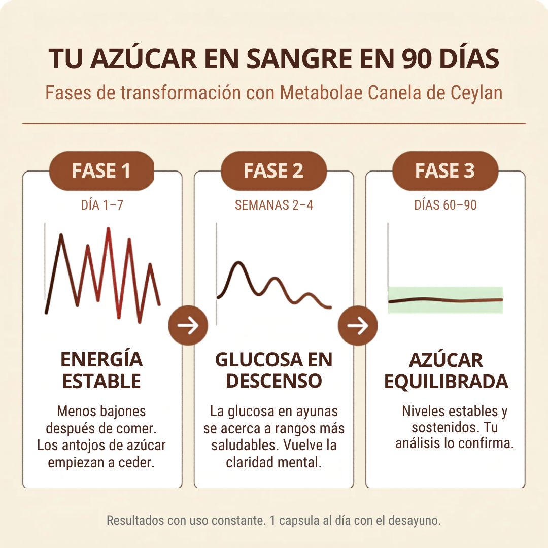 Canela de Ceylon 7200mg con Aceite MCT