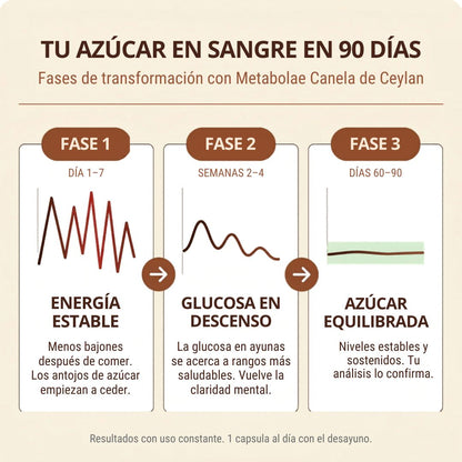 Canela de Ceylon 7200mg con Aceite MCT